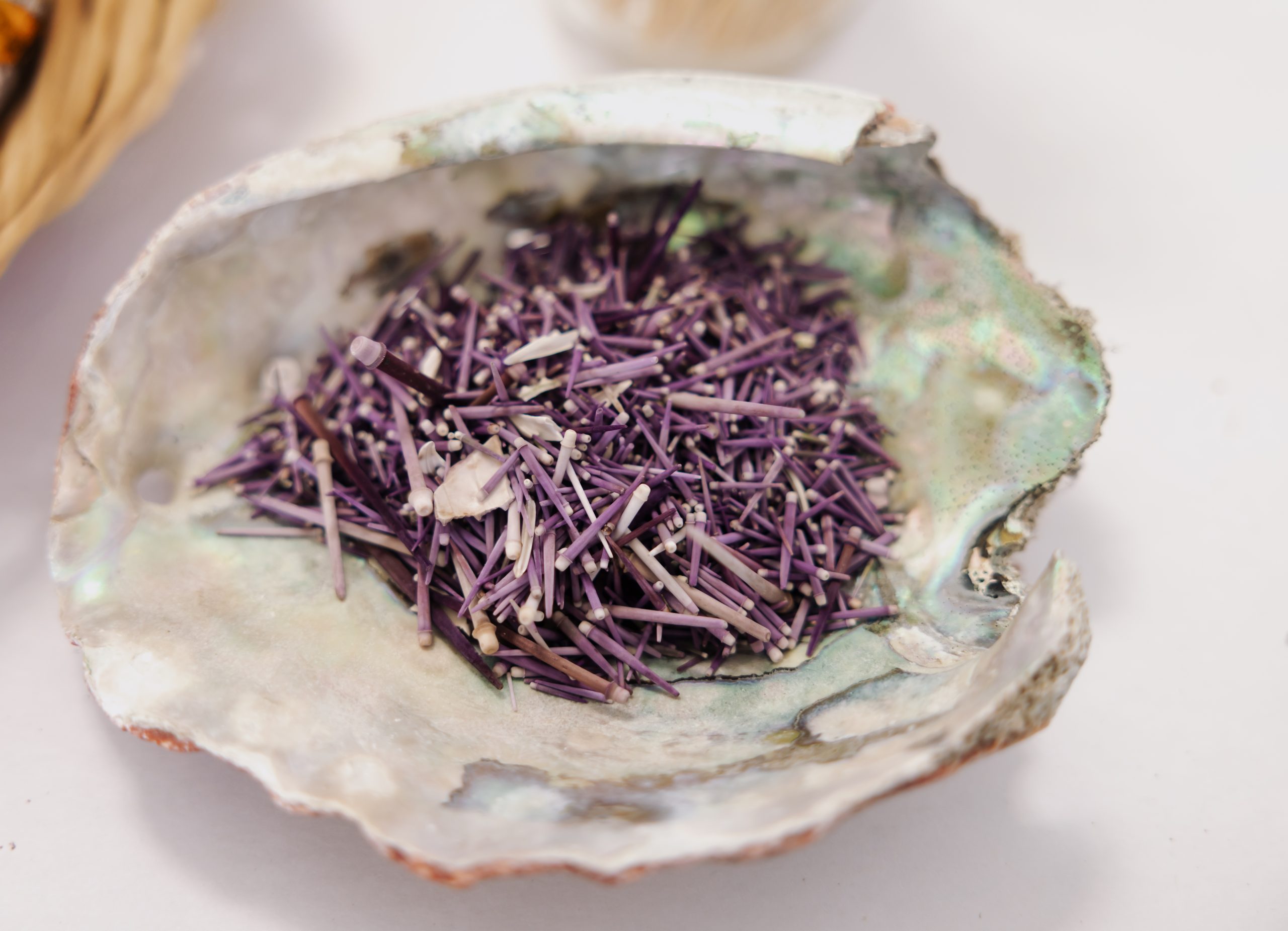 Pop-Up Market with Seelie Studio